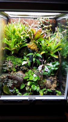 20170415_202528.jpg