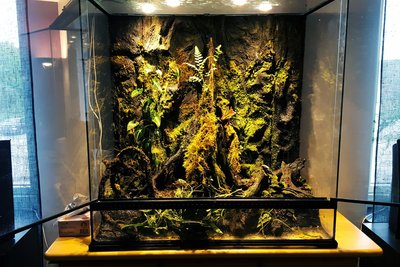 20170514_091151 copy.JPG