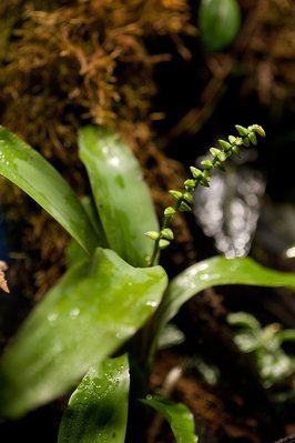 D14_3711 copy copy.JPG