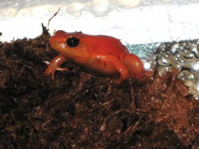 IMG_2709 - Kopia.JPG