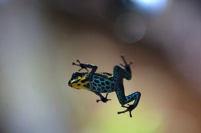 D14_3798 copy copy.JPG