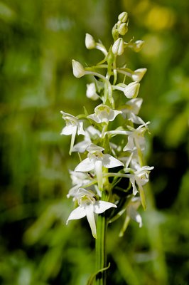 D14_4024.JPG