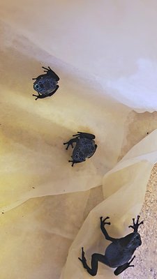 2017-10-24_19-14-12_HDR.jpg