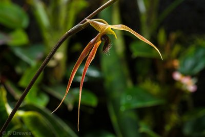 2017-12-07 22-54-58 (A,Radius7,Smoothing4,pre-sharpened).jpg