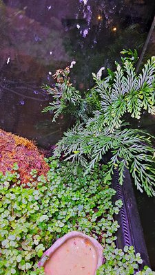 2017-12-16_17-53-05_HDR.jpg