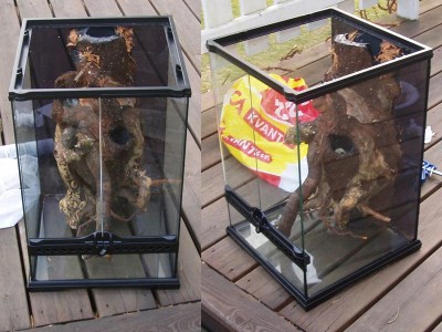 Bakgrunden på plats!