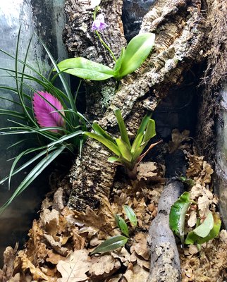 5005065A-DB50-43E4-8512-E02EEE722C18.jpeg (8.18 MiB) Visad 12925 gånger Der var ju två burkar ...