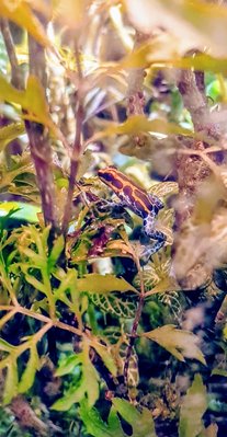 20180616_215053 (2).jpg