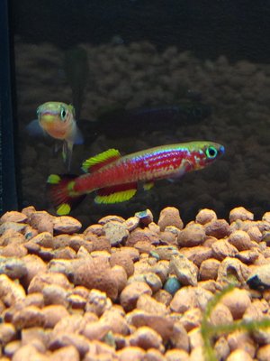 IMG_1808.JPG
