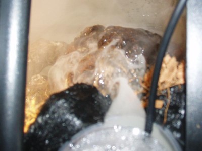 Vattenfallet och foggern är igång, bilden är tagen uppifrån och rakt ner i terrariet.