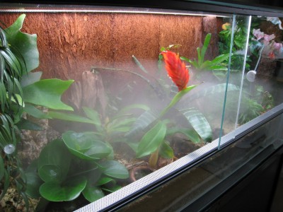 IMG_0203b.jpg