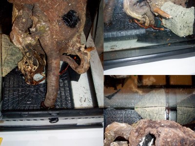 Filtrering och grunden till botten.