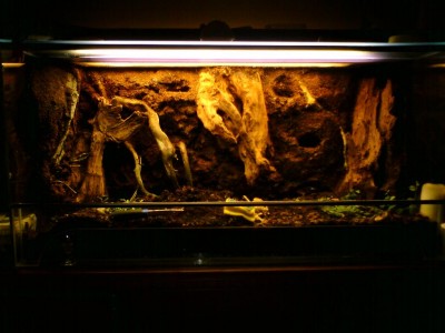 Skummet är målat med Knauf och en blandning av Xaximgranulat/ kokosfibrer tryckes dit. Hålen är gjorda för att sätta plantor i.