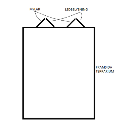 Belysning terrarium.png