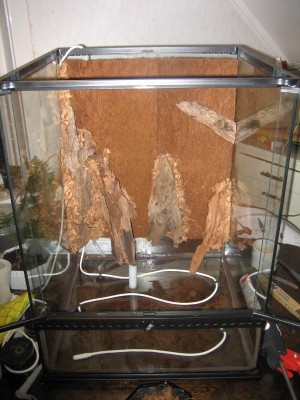 Bakgrunden i sin helhet och värmekabeln i botten.