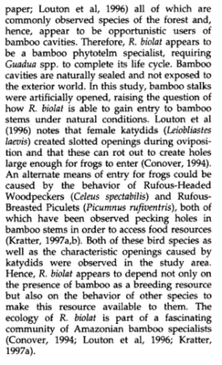 2021-04-06 18_01_05-Breeding Biology of Ranitomeya biolat in the Tambopata Region of Amazonian Peru .png