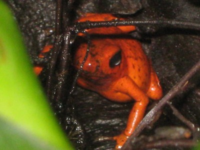 IMG_3425 - Kopia.JPG