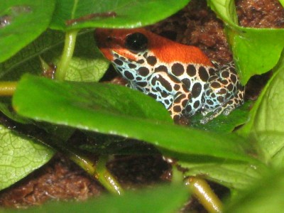 IMG_3417 - Kopia.JPG