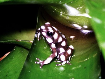 IMG_3415 - Kopia.JPG