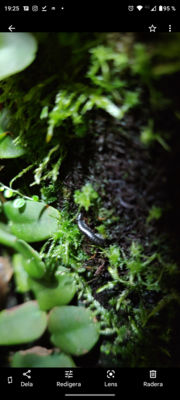 Vad kommer denna ifrån? Trevligt tillskott...