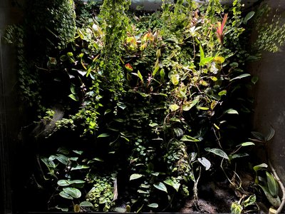 IMG_2669 kopiera.jpg