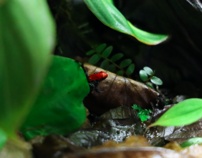 Skärmavbild 2022-04-04 kl. 19.40.09.png