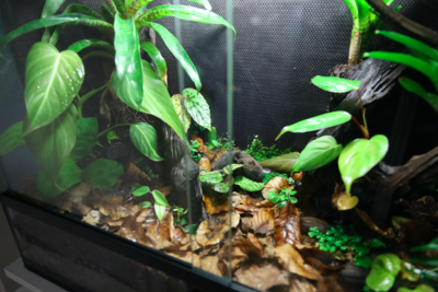 Skärmavbild 2022-04-04 kl. 19.44.03.png