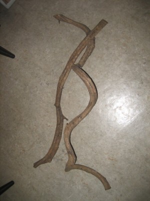 Lianerna från Ben är runt metern långa så dom kommer räcka och bli över.