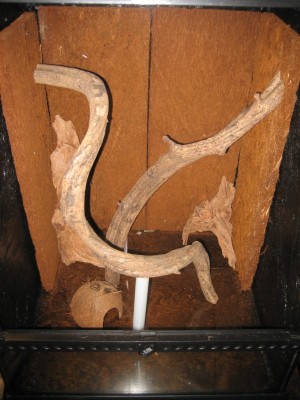 ...eller kanske ta bort den tvärgående lianen och ha det såhär?