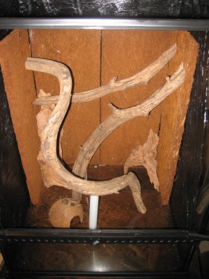 Förmodligen blir det ungefär såhär när det är klart...