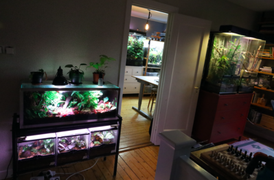 Skärmavbild 2022-06-18 kl. 11.48.07.png