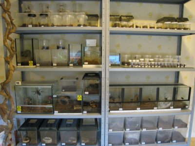 Invånare<br /><br />64arter av spindlar och 2arter av skinnbaggar.