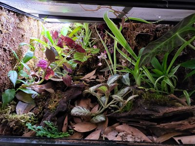 Går snabbare nu känns det som