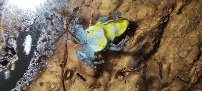 IMG_20221002_184147057.jpg
