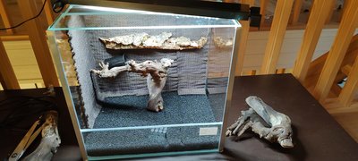 IMG_20221006_172229788.jpg