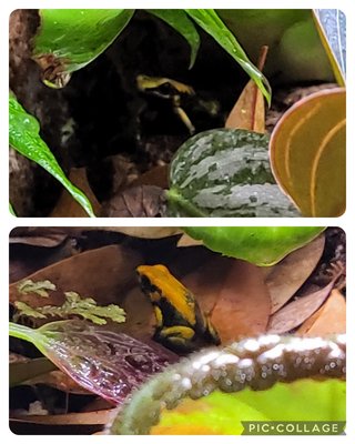 Ett dåligt kort men dom har flyttat in!