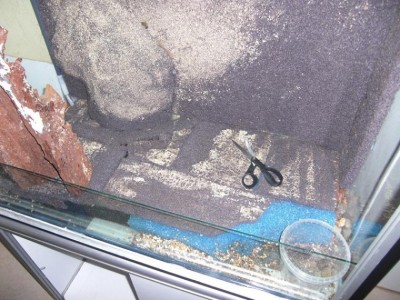 så här ser botten ut