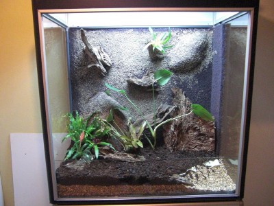 växterna börjar komma på plats