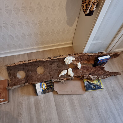 Trälimm, plugg och lite fogskum