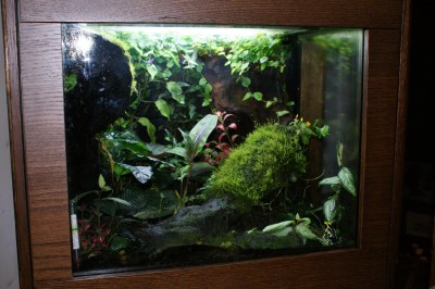 Terrariet_II.JPG