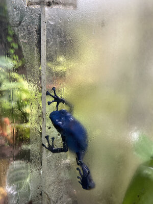 IMG_1975.jpeg