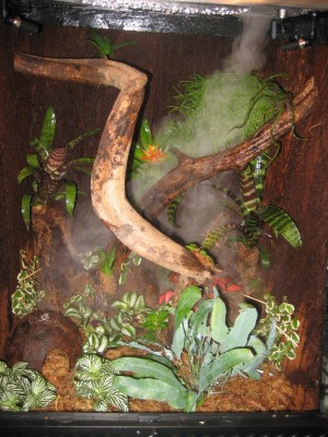 Ändrade väderförhållanden.