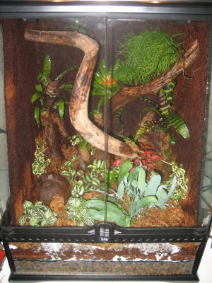 Nyplanterat och vattnat.