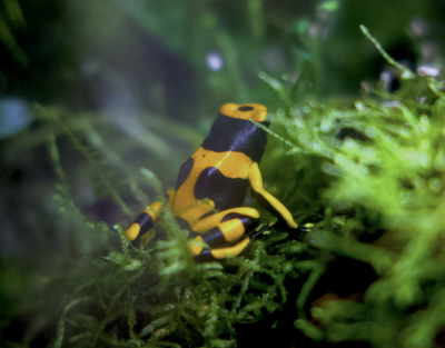 Skärmavbild 2024-06-03 kl. 14.06.42.png