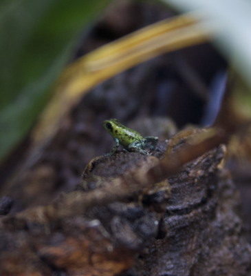 Skärmavbild 2025-07-03 kl. 11.19.45.png