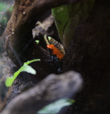 Skärmavbild 2025-07-03 kl. 11.19.24.png