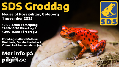 Groddag3.png