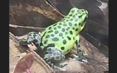 Skärmbild 2025-10-04 162334.png