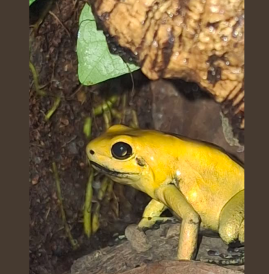 Skärmbild 2025-10-04 162845.png