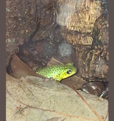 Skärmbild 2025-10-09 154136.png